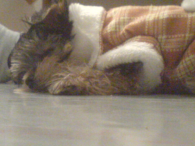 DSC00373.jpg