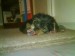 DSC00250.JPG