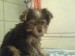 DSC00355.jpg